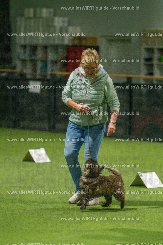 7R508525 | Professionelle Tierfotografie in Mönchengladbach von Daniel Wirth (allesWIRTHgut). Liebevolle & natürliche Bilder von Hunden & Katzen für unvergessliche Erinnerungen.