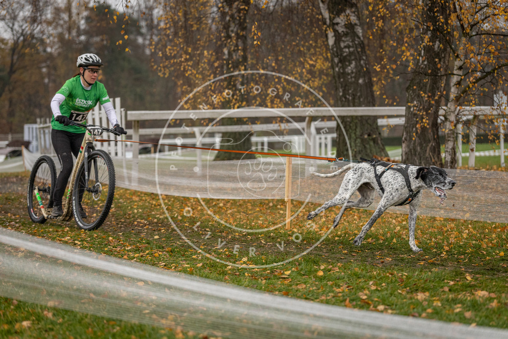 CaniXpix_DV3A7886 | Hundefotografie, Tierfotograf, Pfotenfotografie, Fotoshooting Hund, Hunde Portrait, Hundesport, Hundeportraits, Heideshooting, Hunde, Sportfotograf, Hundefotograf, Turnierhundsport, THS,  - Realisiert mit Pictrs.com