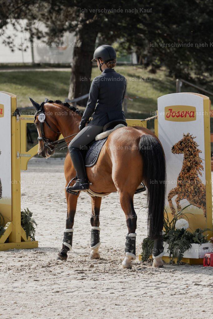 WE_ST_Stoib_337_PI2025_912 | Pferd International München 2025