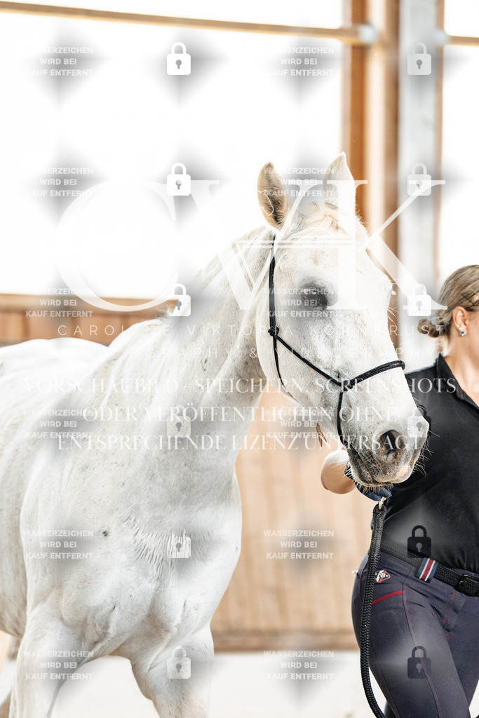 CK908211 | Turnierfotografie Pferdefotografie Trier Rheinland-Pfalz Pferdesport Reitsport Tierfotografie Sportfotografie Pferdevideo Pferdevideografie Equestrianvideography equestrianphotography  - Realisiert mit Pictrs.com
