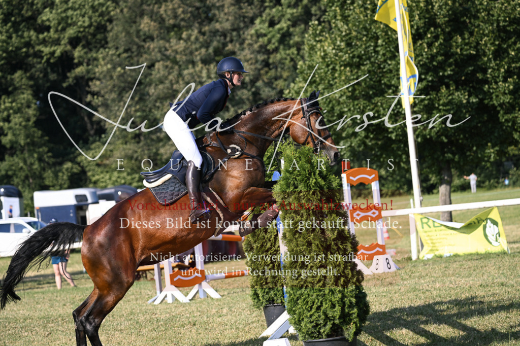 DSC_1651 | Pferde- und Turnierfotografie in Westsachsen. Pferdeportraits, Auftragszeichnungen und intuitive Kunst.