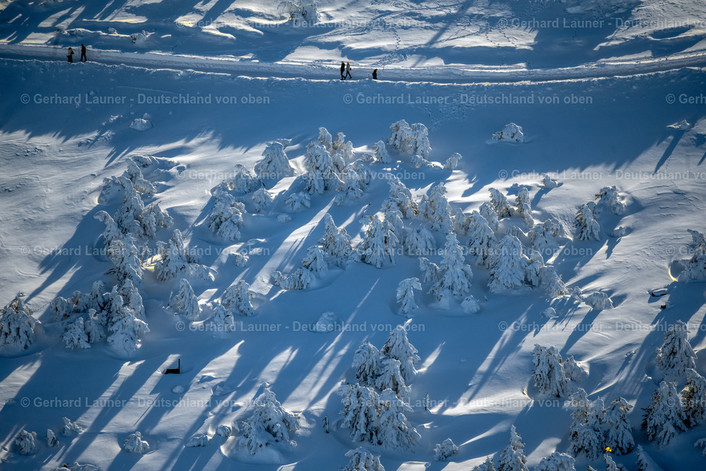 4044933 | SCHIERKE 14.02.2021 Winterlich schneebedeckte Baumspitzen in einem Waldgebiet in Schierke im Nationalpark Harz im Bundesland Sachsen-Anhalt, Deutschland. // Wintry snowy treetops in a wooded area in Schierke in the Harz in the state Saxony-Anhalt, Germany. Foto: Gerhard Launer