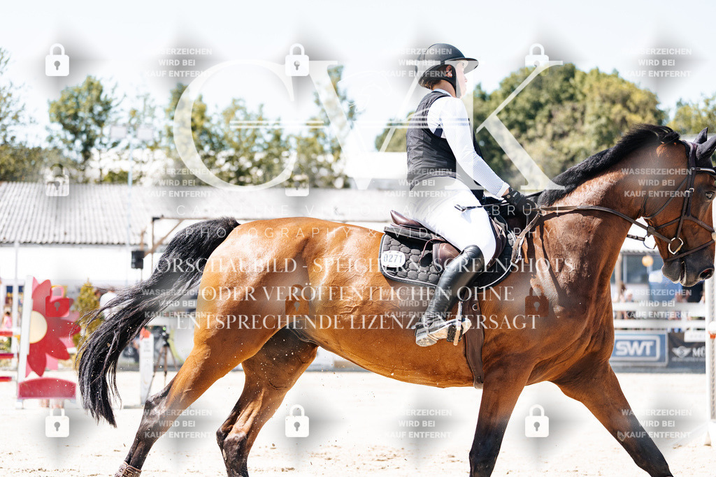 CK909611 | Turnierfotografie Pferdefotografie Trier Rheinland-Pfalz Pferdesport Reitsport Tierfotografie Sportfotografie Pferdevideo Pferdevideografie Equestrianvideography equestrianphotography  - Realisiert mit Pictrs.com