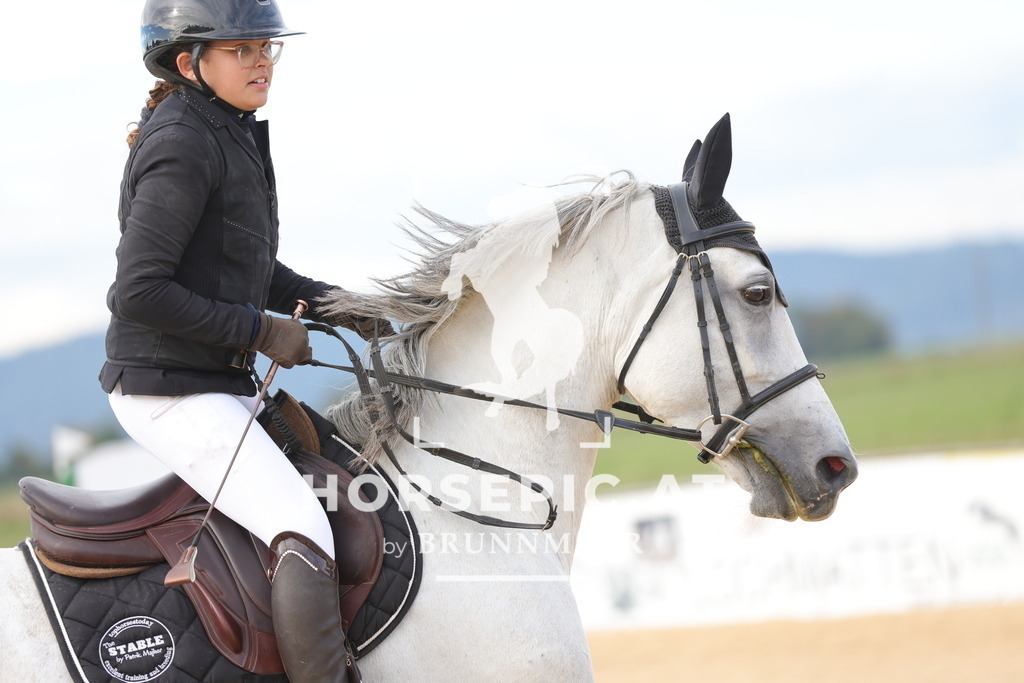 0P6A5035 | Willkommen bei Brunnmayr - Design & Fotografie – Ihrem Spezialisten für Reitturniere und Pferdeveranstaltungen in Oberösterreich, Salzburg und Bayern! Seit über 17 Jahren sind wir leidenschaftlich dabei.
