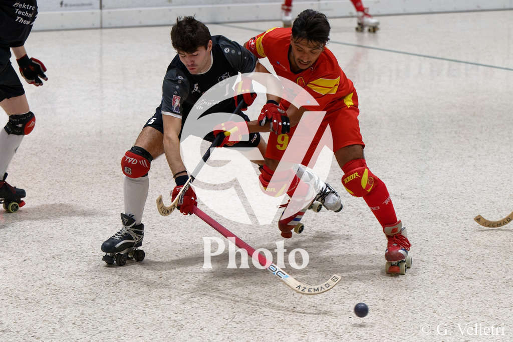 DSC_9934 | Velletri Photo