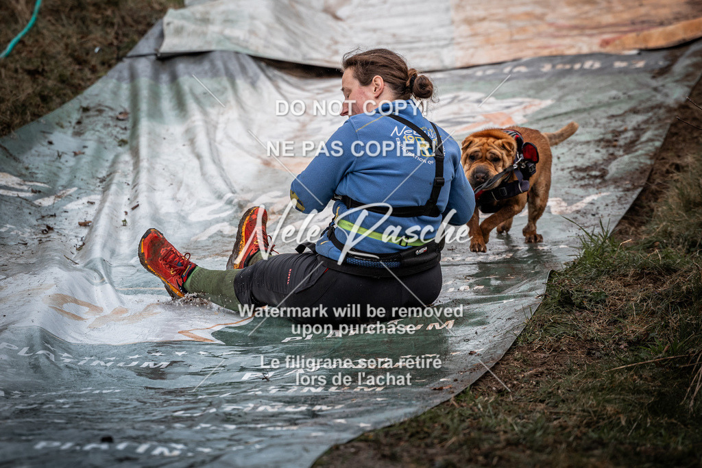 nelerasche_1130-1230_274 | nelerasche