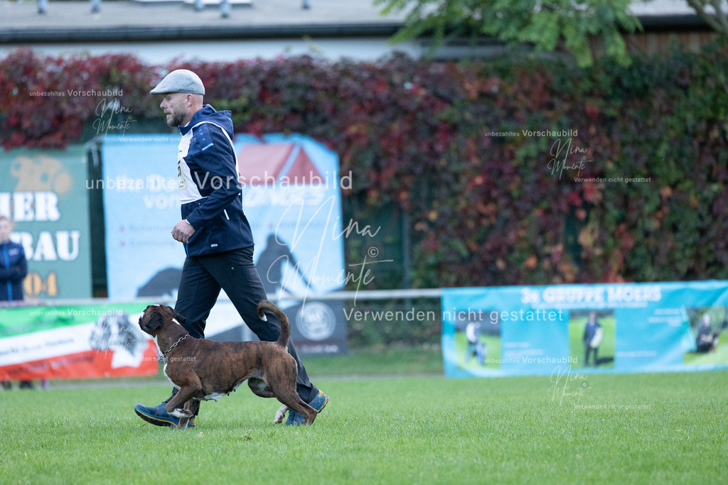 _16A4525 | Einzigartige Fotos von Hunden & Menschen –Actionfotos, Portraits, Vereinsaufnahmen & Paarshootings – authentisch, lebendig & mit Herz.