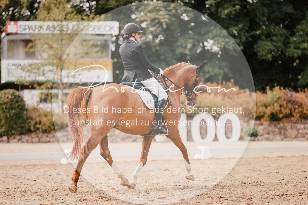 3I6A6031 | Stimmungsvolle Portraits und Reitsportfotografie im Ruhrgebiet und im Münsterland.

Pferdefotografie, Hundefotografie, Tierfotografie, Reportagen, Portraits von Tier und Mensch, Turnierfotografie in Bochum, Recklinghausen, Marl, Haltern am See, Dülmen.. - Realisiert mit Pictrs.com