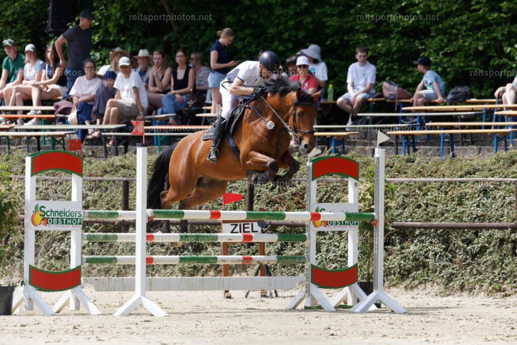 JHE31241 | JoYa Fotografie - Realisiert mit Pictrs.com