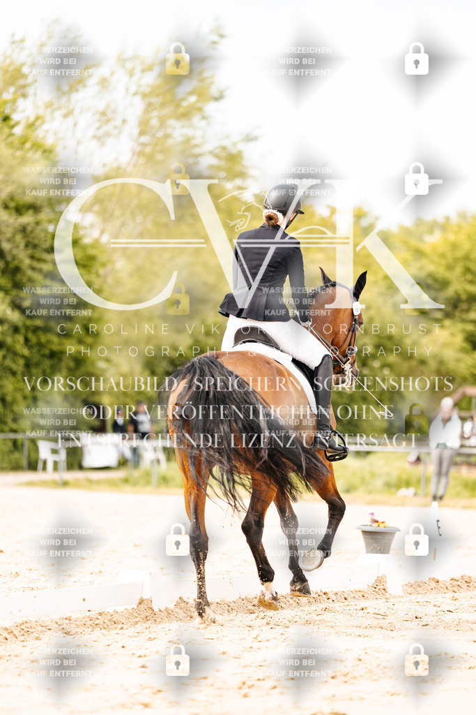 CK900960 | Turnierfotografie Pferdefotografie Trier Rheinland-Pfalz Pferdesport Reitsport Tierfotografie Sportfotografie Pferdevideo Pferdevideografie Equestrianvideography equestrianphotography  - Realisiert mit Pictrs.com