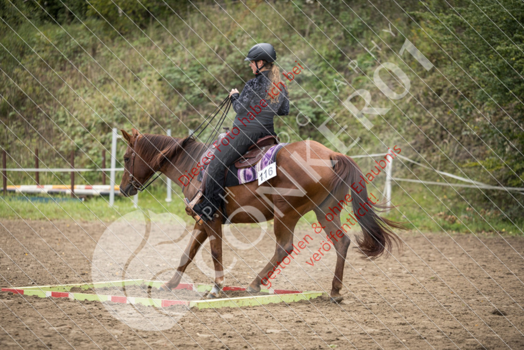 CON_9522 | Sport-, Event- und Tierfotos in Profiqualität. Einfach auswählen, bestellen und herunterladen. Dein Moment – perfekt festgehalten.