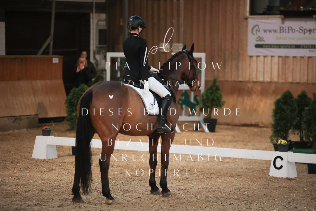 IMGT2560 | pl-fotografie