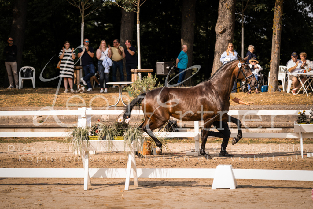 FrER00174 | Leoni Ertmer Photography - Realisiert mit Pictrs.com