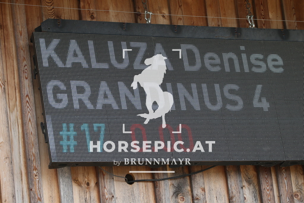 DL2Q4061 | Willkommen bei Brunnmayr - Design & Fotografie – Ihrem Spezialisten für Reitturniere und Pferdeveranstaltungen in Oberösterreich, Salzburg und Bayern! Seit über 17 Jahren sind wir leidenschaftlich dabei.