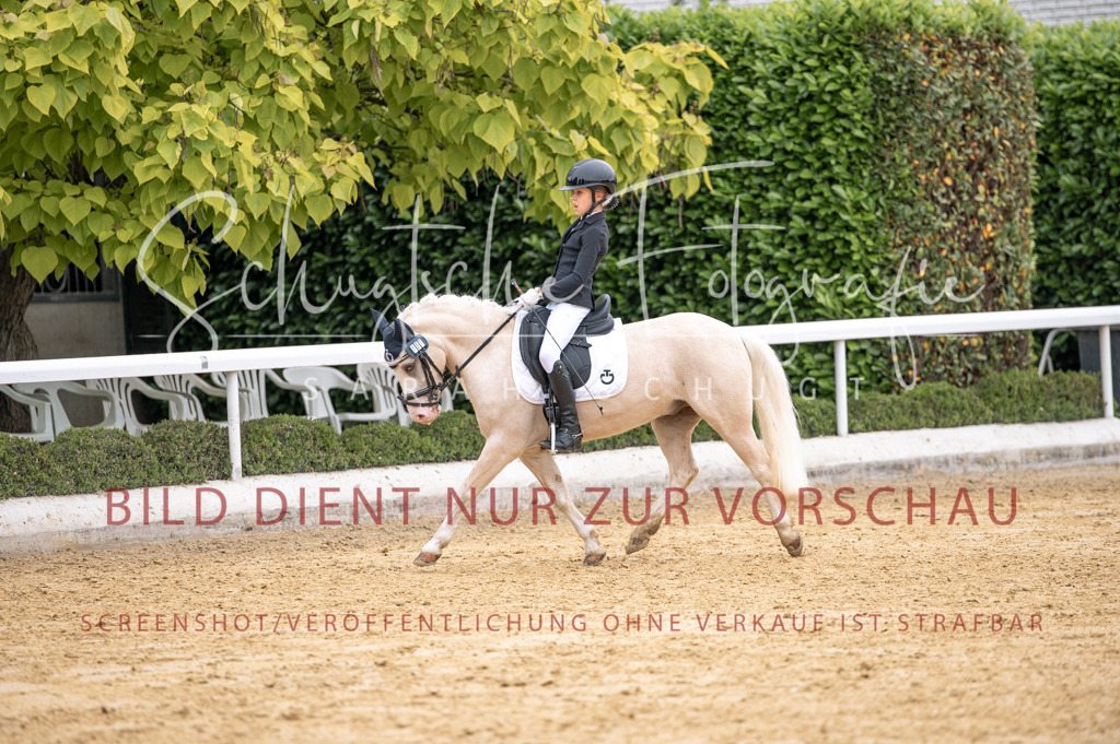 Schugtsche-Aluta25-40.DressurprfA_-459 | Schugtsche Fotografie - Realisiert mit Pictrs.com