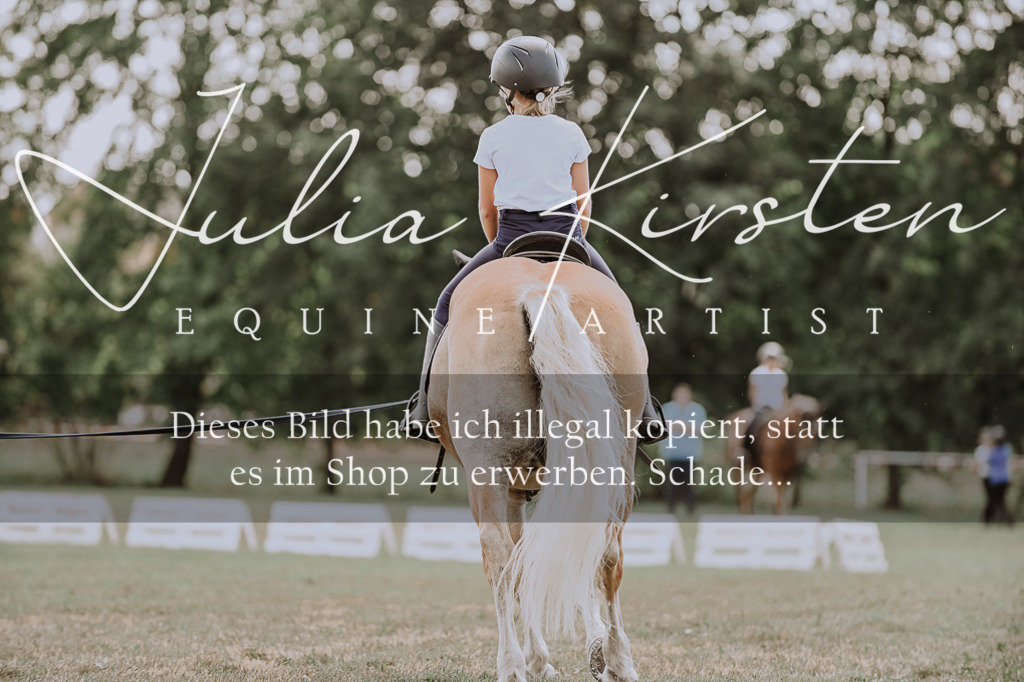 DSC_7700 | Pferde- und Turnierfotografie in Westsachsen. Pferdeportraits, Auftragszeichnungen und intuitive Kunst.
