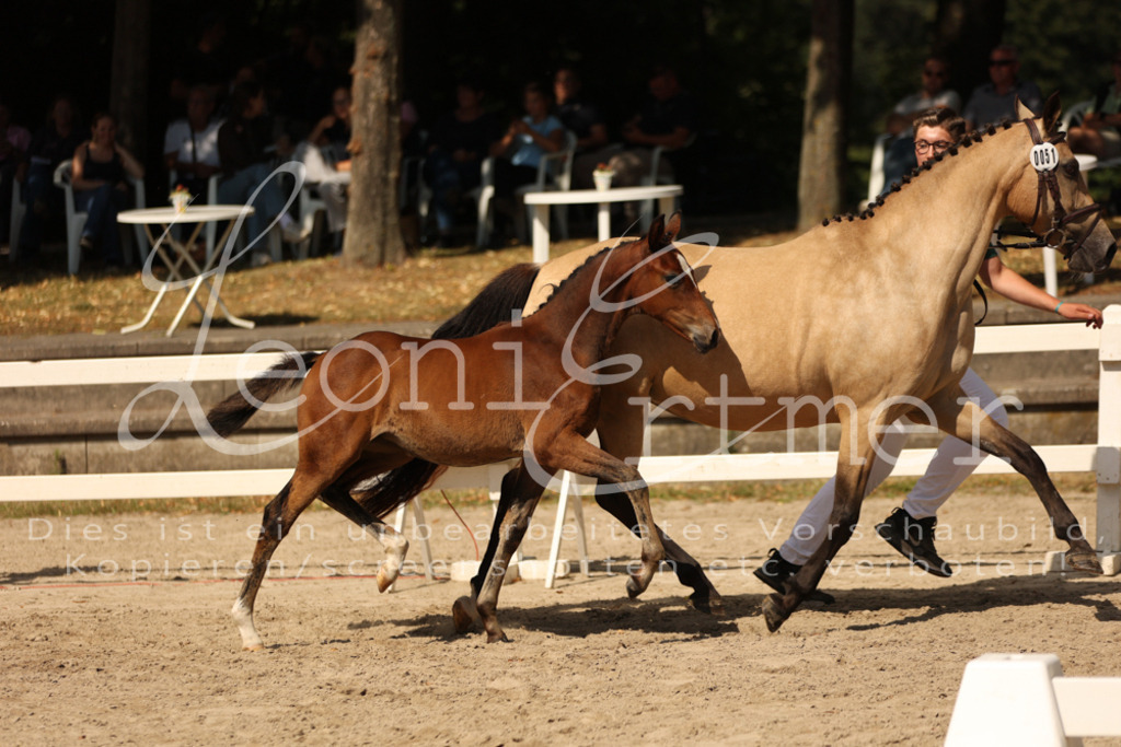 08.DoRPS00011 | Leoni Ertmer Photography - Realisiert mit Pictrs.com