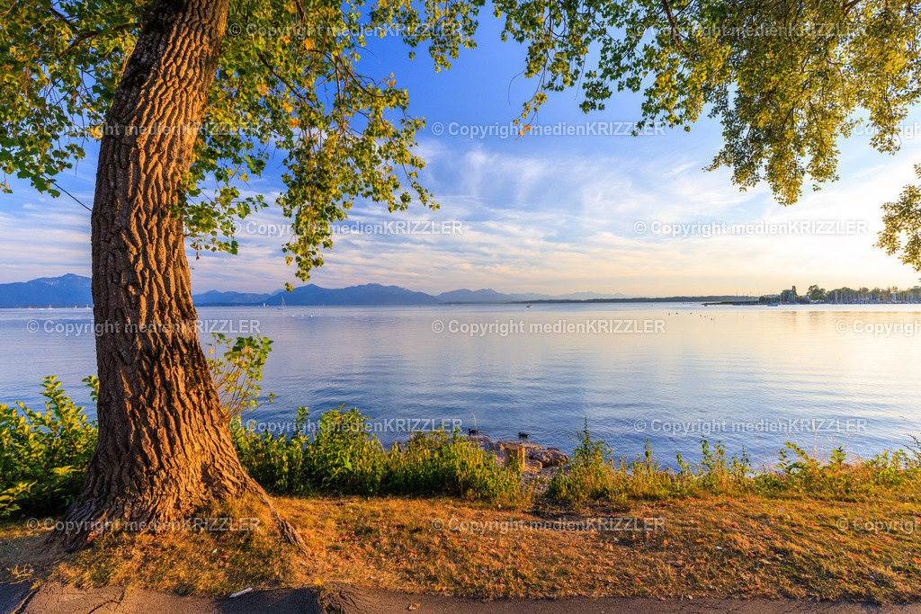 _J3A8436 | medienkrizzler - Realisiert mit Pictrs.com