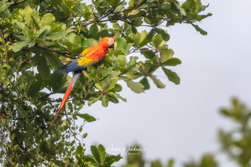 Morgengruß von oben | Andre Wandrei - Nature Artworx - Realisiert mit Pictrs.com
