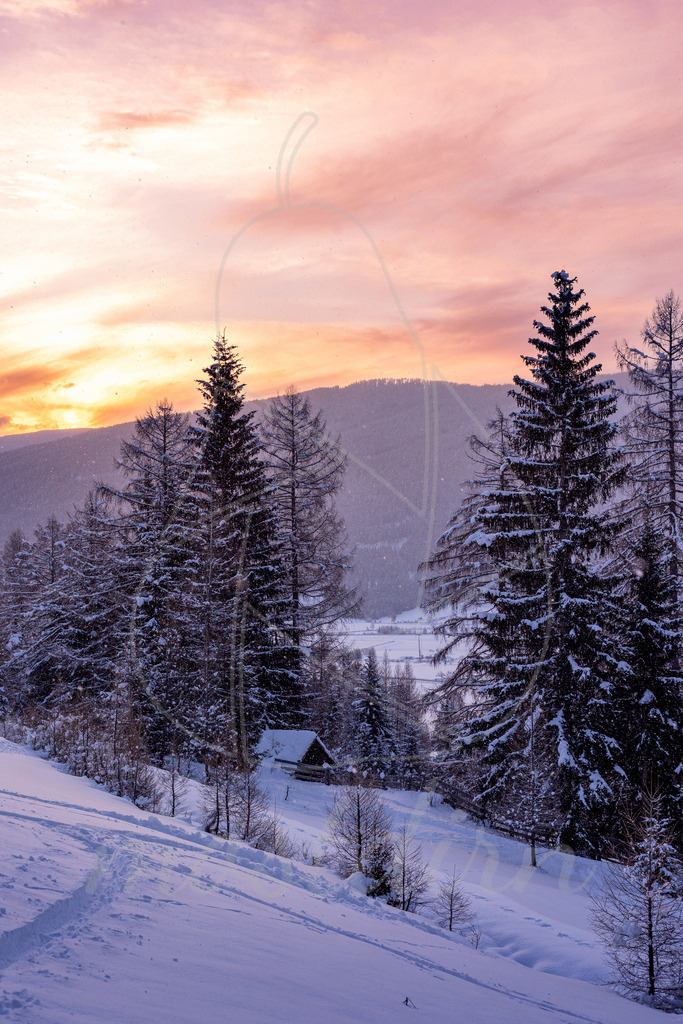 Früh Morgens am Fanningberg | Bei Veröffentlichung des Bildes ist eine Namensnennung wie folgt erforderlich: 
Foto: Mostdirn Irmgard Wieser
 - Realisiert mit Pictrs.com