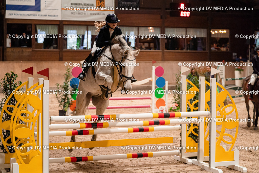 Springen Tag 2-630 | dv-media-shop - Realisiert mit Pictrs.com