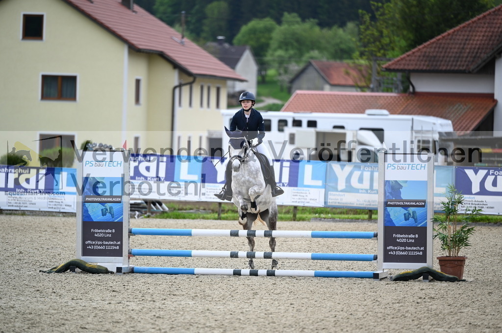 DSC_0381 | equestrian-live-com