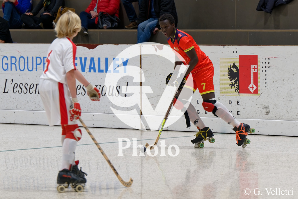 DSC_1320 | Velletri Photo