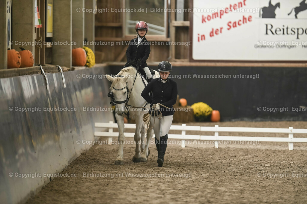20231029_Führzügel-WB_Abteilung-02_0017 | Foto: Thomas Hartig