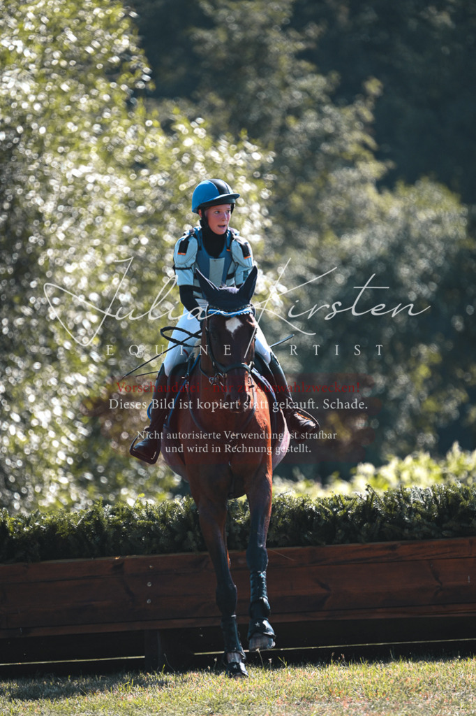 DSC_8065 | Pferde- und Turnierfotografie in Westsachsen. Pferdeportraits, Auftragszeichnungen und intuitive Kunst.