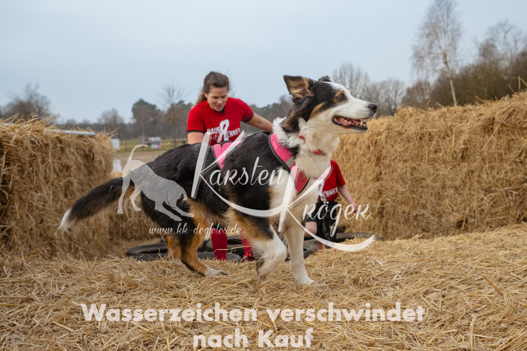 0904_ZZ96476 | kk-dogfotos