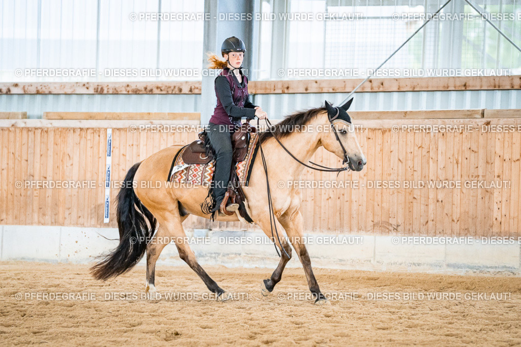 DSC02686 | Pferdegrafie