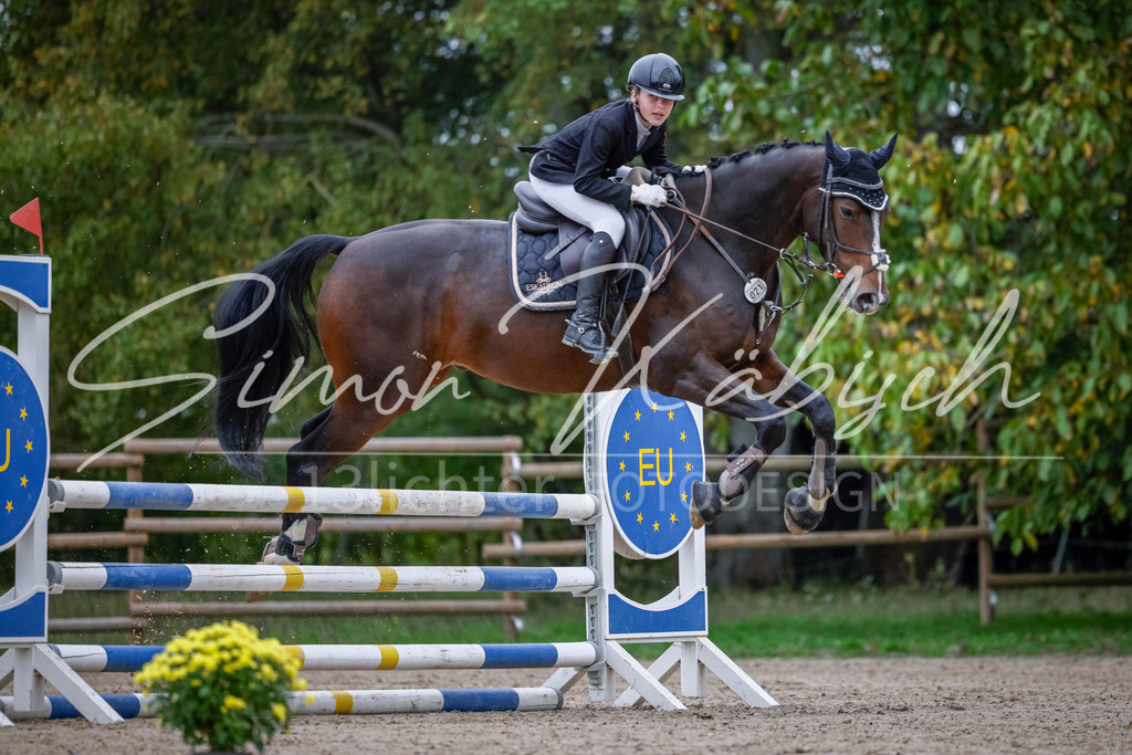 20251012-_3LI4334 | Tierfotografie Pferde, Hunde, Katzen, Haustiere.
Turnierfotografie Reitturniere, Reiten, Springreiten, Dressur in Hanau, dem Main-Kinzig-Kreis und dem Rhein-Main- Gebiet um Frankfurt