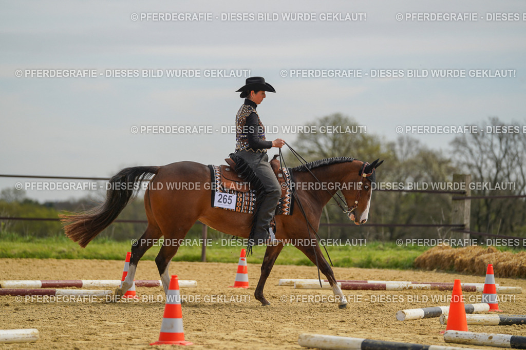 DSC03937 | Pferdegrafie