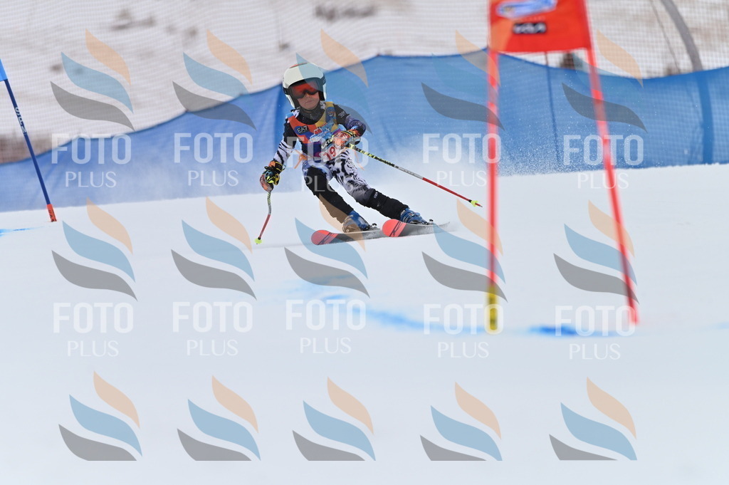 BGV_1720 | holidayphoto