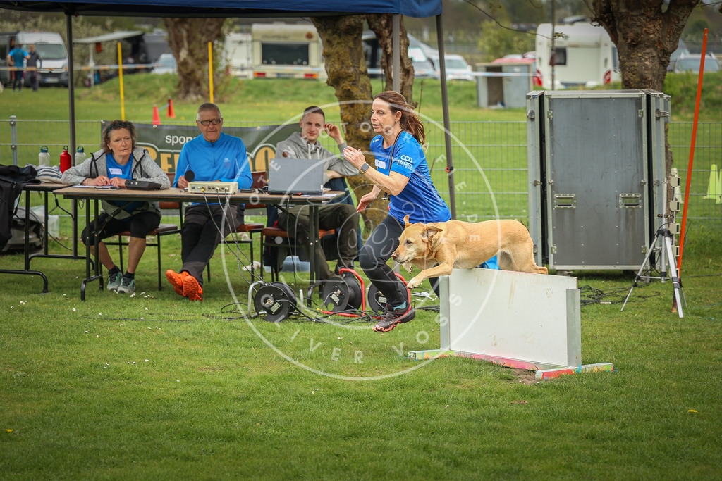 Pfotenfotografie_0L8A9844 | Hundefotografie, Tierfotograf, Pfotenfotografie, Fotoshooting Hund, Hunde Portrait, Hundesport, Hundeportraits, Heideshooting, Hunde, Sportfotograf, Hundefotograf, Turnierhundsport, THS,  - Realisiert mit Pictrs.com