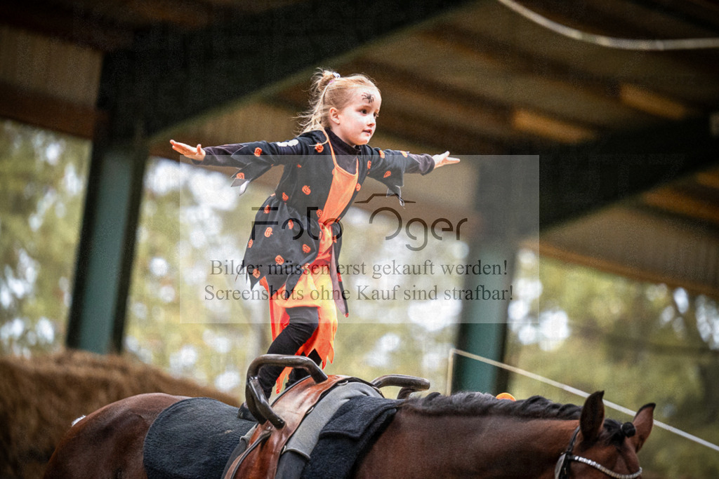 DOS_0089 | Entdecke hochwertige Reitturnierfotos von Foto Oger. Professionell, emotional und authentisch – jetzt Lieblingsmomente im Shop bestellen.Deutschlandweite Turnierfotografie. - Realisiert mit Pictrs.com