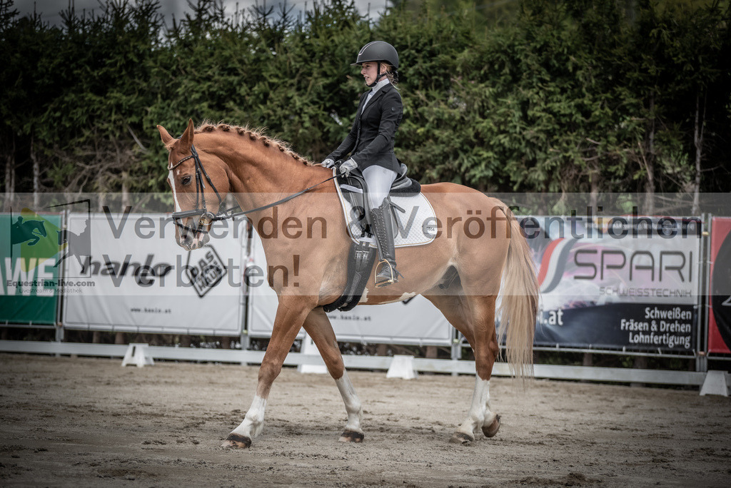 DSC_2748 | equestrian-live-com