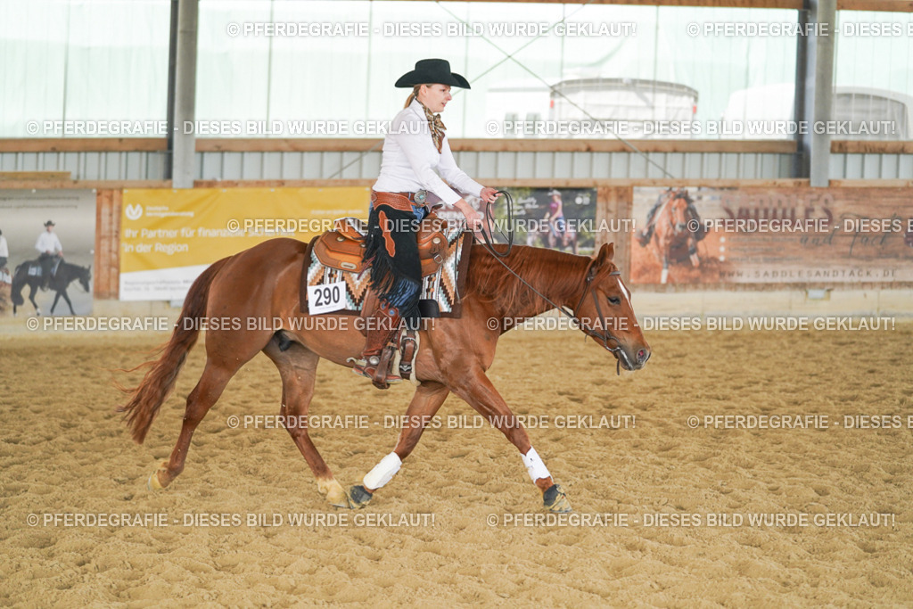 DSC06016 | Pferdegrafie