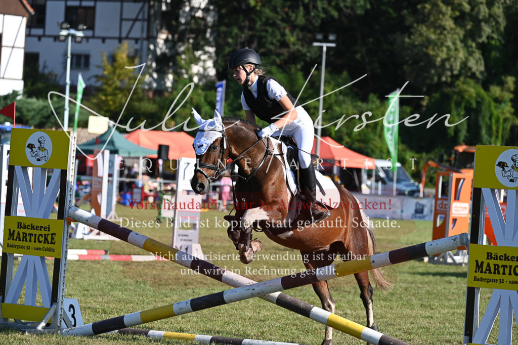 DSC_4778 | Pferde- und Turnierfotografie in Westsachsen. Pferdeportraits, Auftragszeichnungen und intuitive Kunst.
