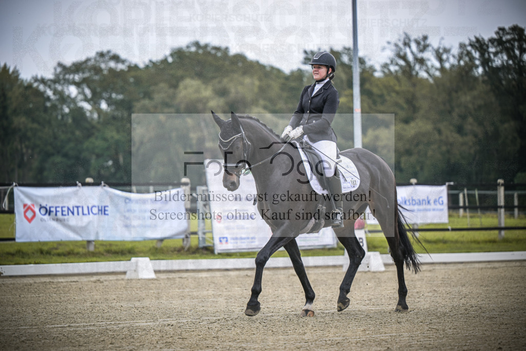 DOS_B330 | Entdecke hochwertige Reitturnierfotos von Foto Oger. Professionell, emotional und authentisch – jetzt Lieblingsmomente im Shop bestellen.Deutschlandweite Turnierfotografie. - Realisiert mit Pictrs.com