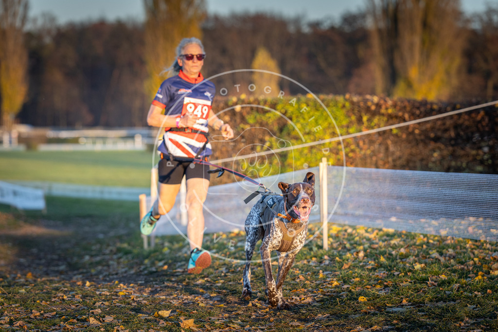 CaniXpix_DV3A5571 | Hundefotografie, Tierfotograf, Pfotenfotografie, Fotoshooting Hund, Hunde Portrait, Hundesport, Hundeportraits, Heideshooting, Hunde, Sportfotograf, Hundefotograf, Turnierhundsport, THS,  - Realisiert mit Pictrs.com