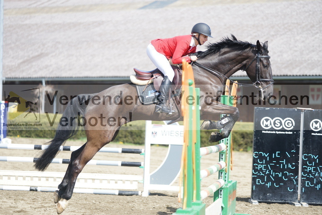 DSC02458 | equestrian-live-com