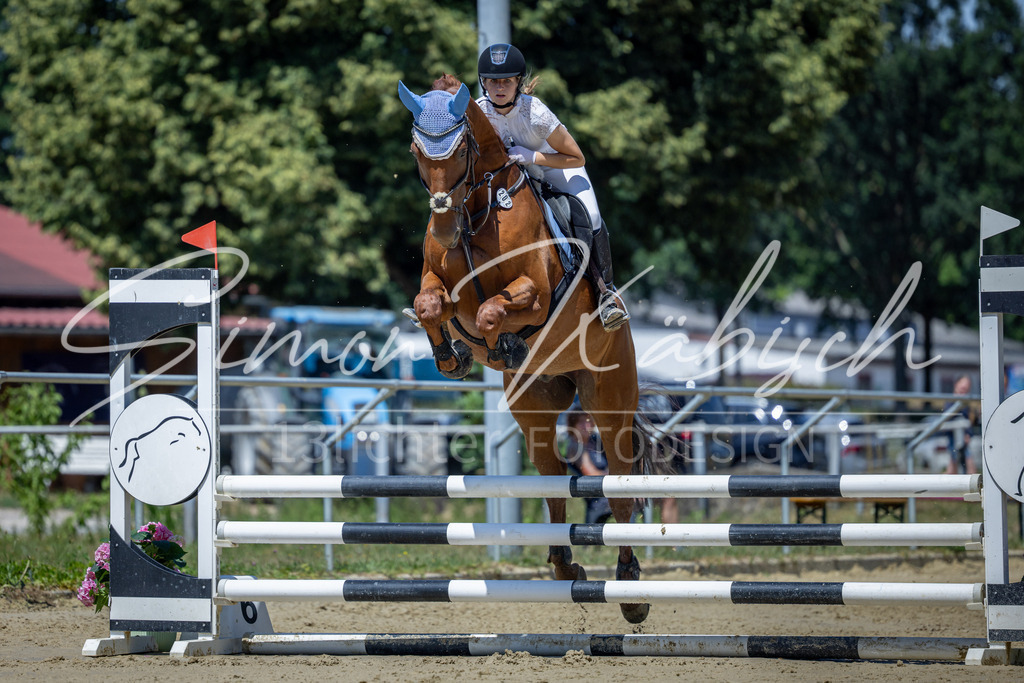 20260704-_3LI8330 | Tierfotografie Pferde, Hunde, Katzen, Haustiere.
Turnierfotografie Reitturniere, Reiten, Springreiten, Dressur in Hanau, dem Main-Kinzig-Kreis und dem Rhein-Main- Gebiet um Frankfurt