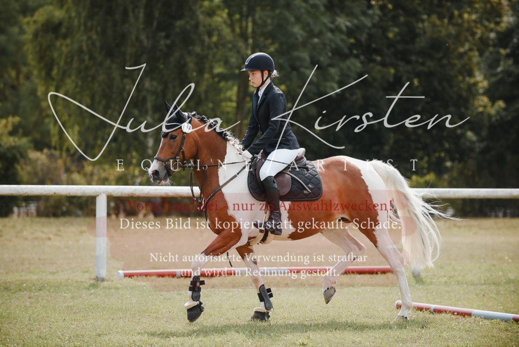 DSC_5448 | Pferde- und Turnierfotografie in Westsachsen. Pferdeportraits, Auftragszeichnungen und intuitive Kunst.