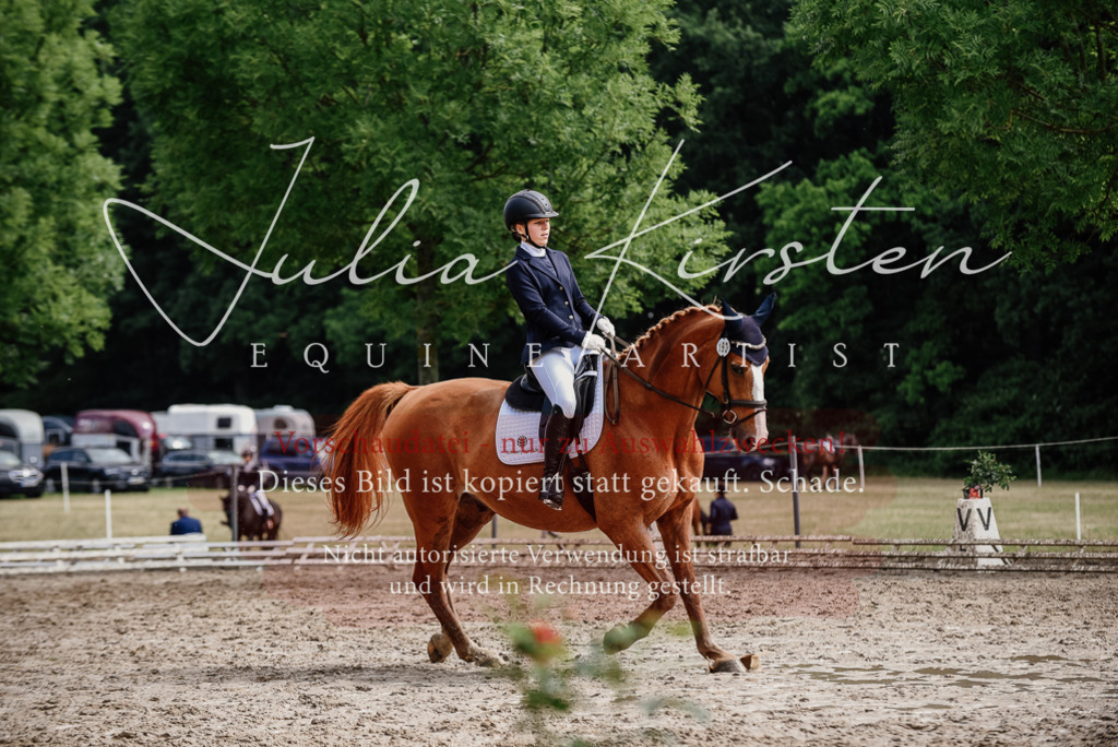 DSC_0043 | Pferde- und Turnierfotografie in Westsachsen. Pferdeportraits, Auftragszeichnungen und intuitive Kunst.