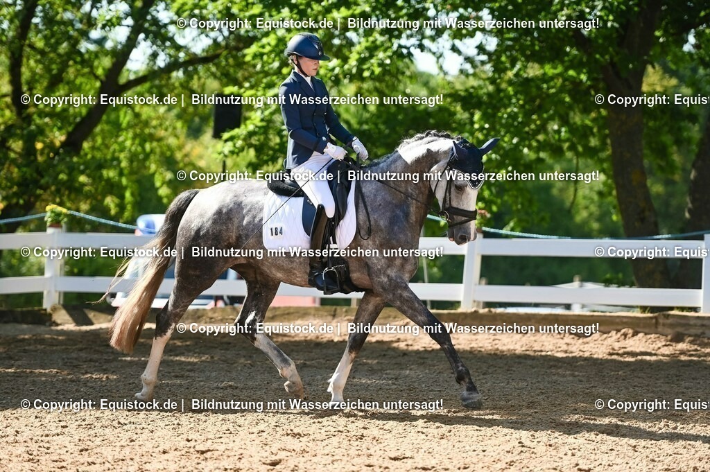 20230715_06_Dressurpferdeprfg. Kl.A_0304 | equistock