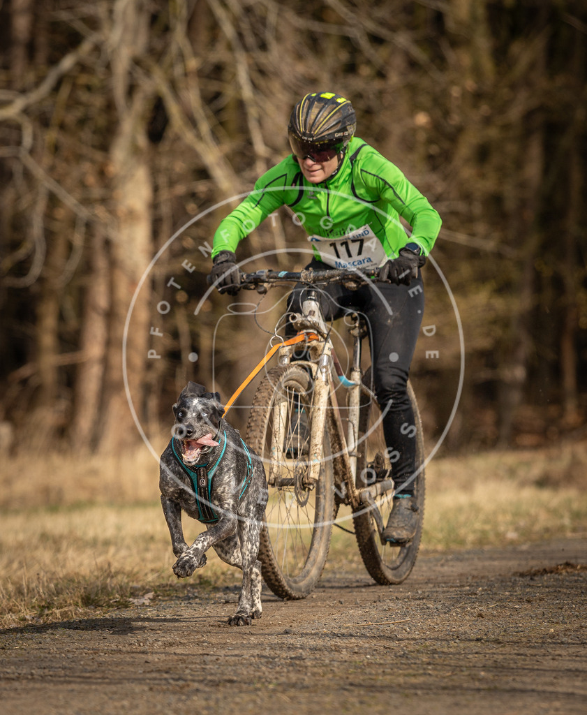 DV3A4418 | Hundefotografie, Tierfotograf, Pfotenfotografie, Fotoshooting Hund, Hunde Portrait, Hundesport, Hundeportraits, Heideshooting, Hunde, Sportfotograf, Hundefotograf, Turnierhundsport, THS,  - Realisiert mit Pictrs.com