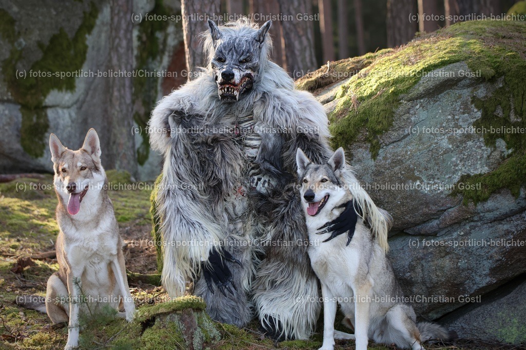 2X5A2986 | fotos-sportlich-belichtet - Realisiert mit Pictrs.com