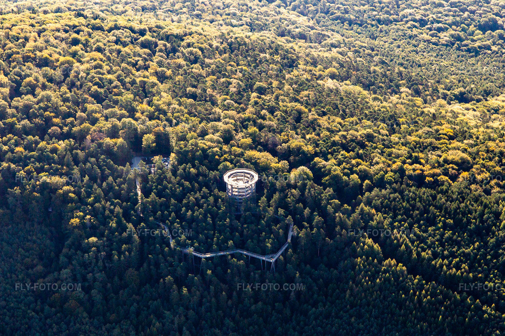 Aerial view: Treetop Walkway Alsace in Cleebourg in the state Bas-Rhin, France.Photo: IMG_138937.jpg taken on 09/24/2023 by Werner Riehm/FLY-FOTO.comResolution of the original: 5241 x 3494 pxden Baumwipfelpfaden der Erlebnis Akademie AG!