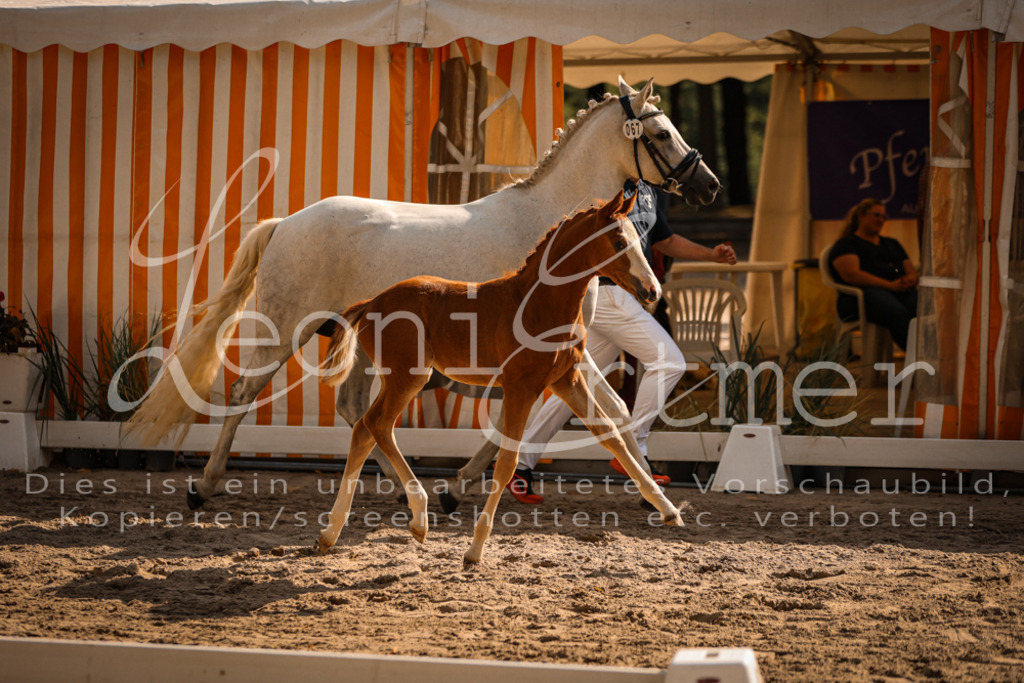 10.DoRP00217 | Leoni Ertmer Photography - Realisiert mit Pictrs.com